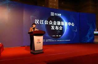 襄陽漢江金融服務中心上線 創新服務助力企業融資發展
