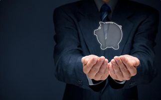 魚貓金服 金融服務(wù)全解析，讓財(cái)富管理觸手可及